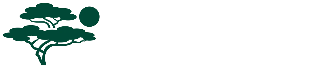 bonpari-afrique.com logo